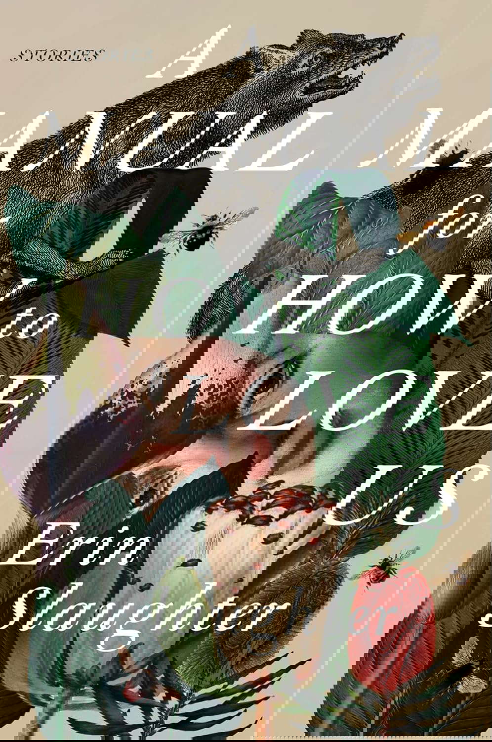 A Manual for How to Love Us: Stories poster