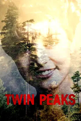 The Return poster