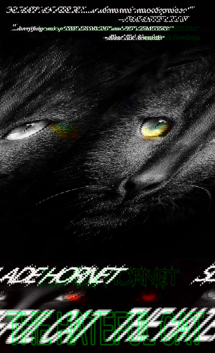 THE HATEFUL CAT (by SLADE HORNET): Splintered poster