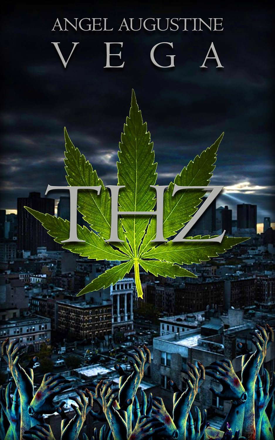 THZ: A Stoner's Journey Through the Zombie Apocalypse [Short Preview] poster