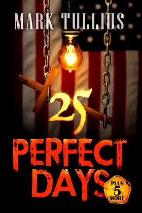25 Perfect Days: Plus 5 More poster