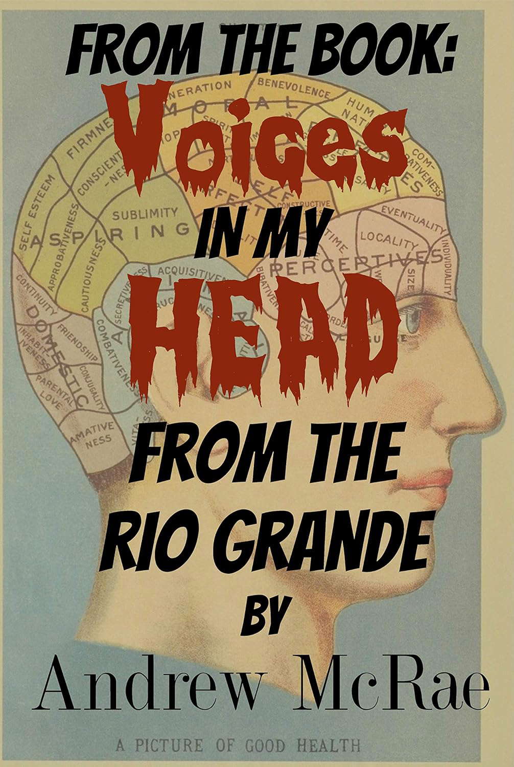 Voices in my Head: From the Rio Grande poster