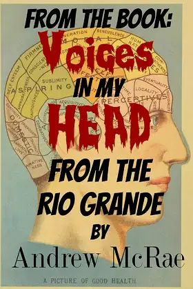 Voices in my Head: From the Rio Grande poster