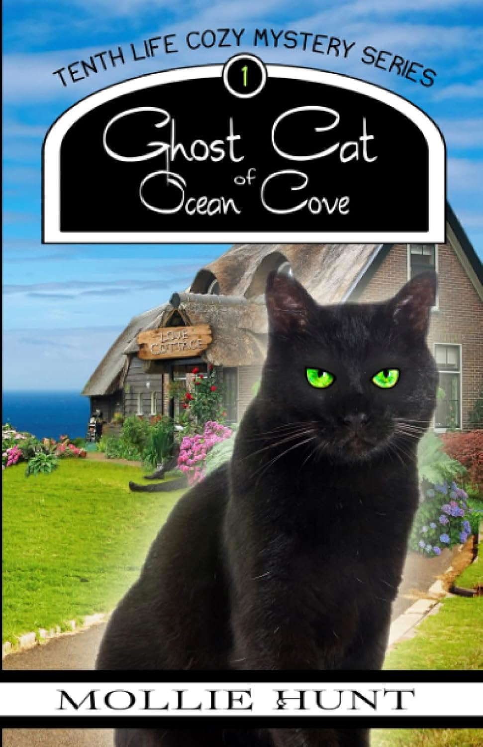 Ghost Cat of Ocean Cove (A Tenth Life Cozy Mystery) poster