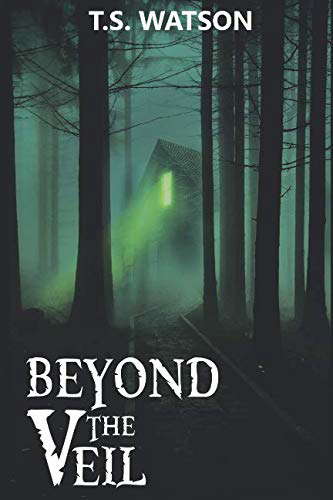 Beyond the Veil poster