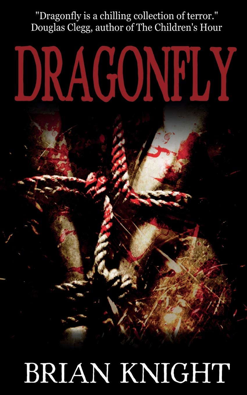 Dragonfly poster