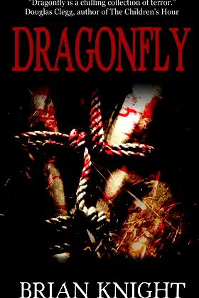 Dragonfly poster