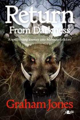 Return From Darkness poster