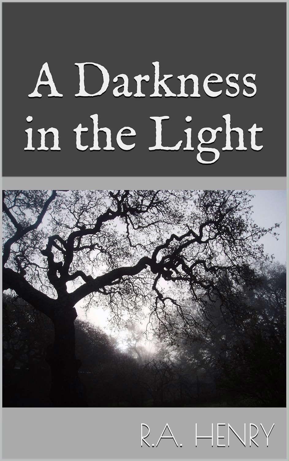 A Darkness in the Light poster