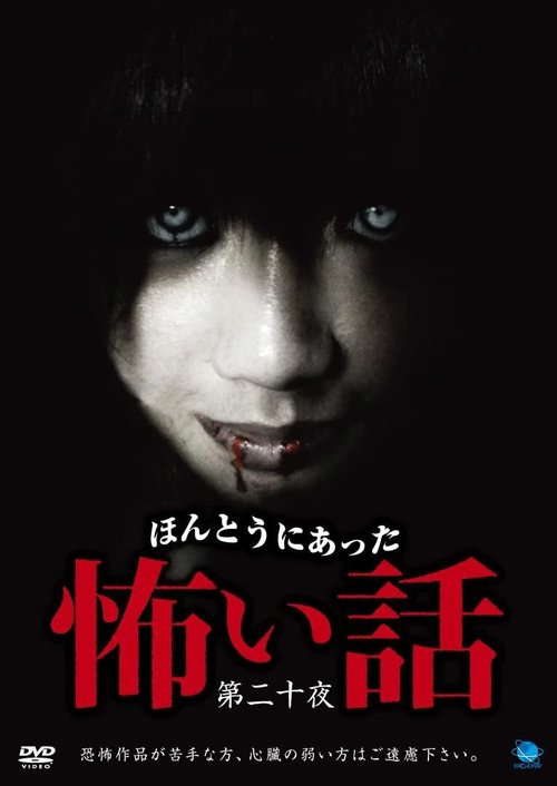 Scary True Stories: Night 20 poster