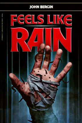 Feels Like Rain poster