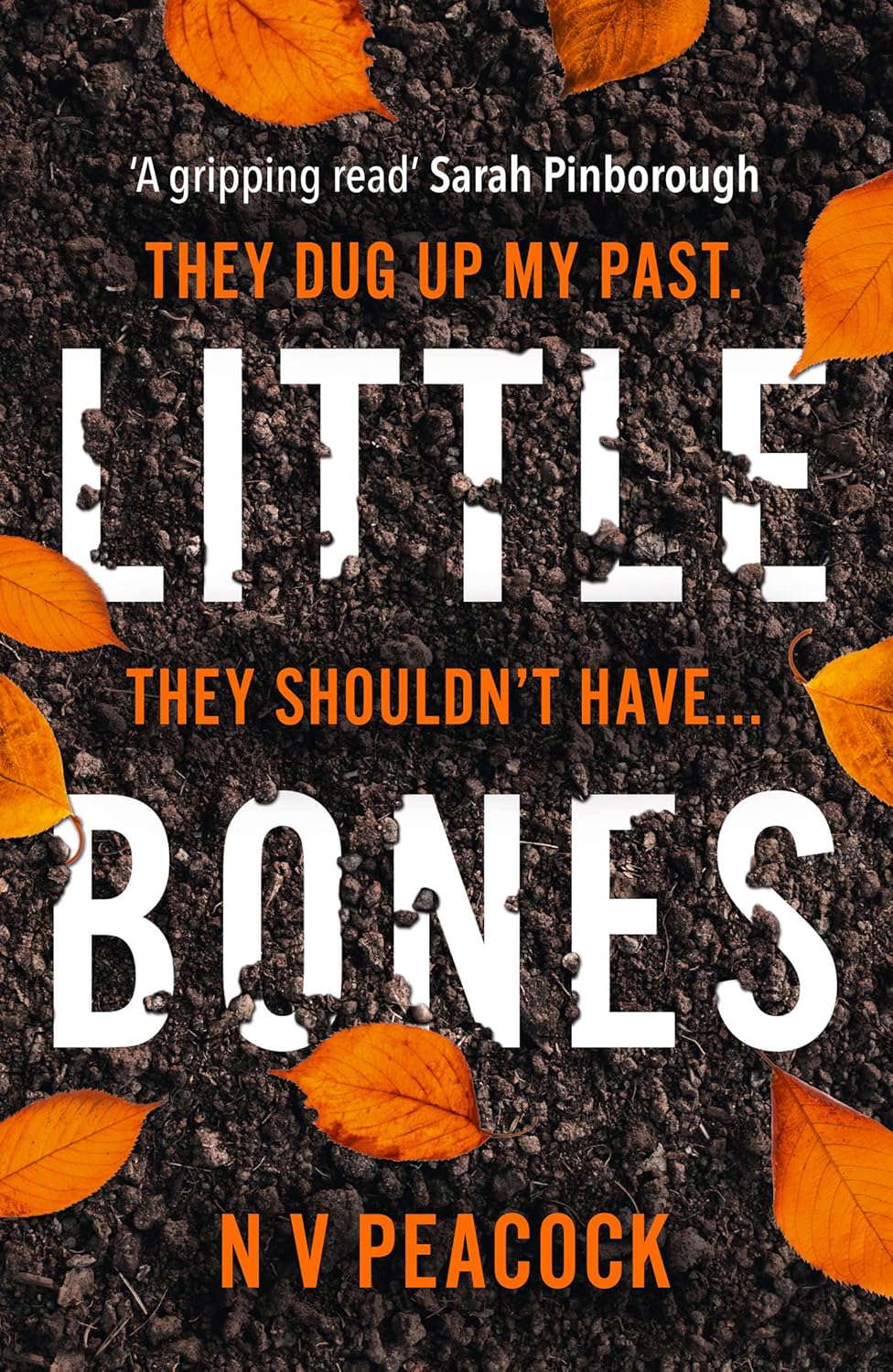 Little Bones poster