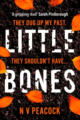 Little Bones poster