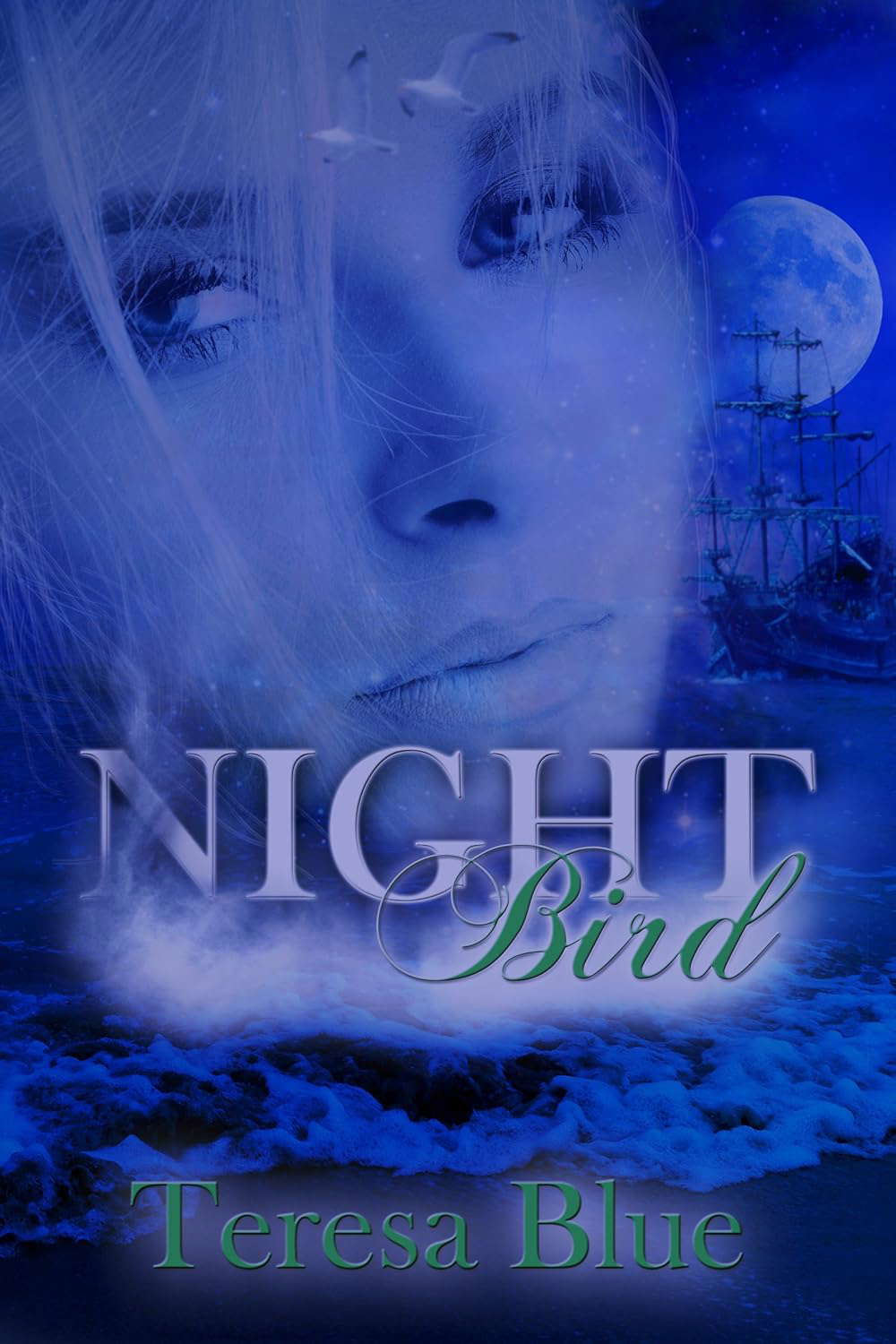 Night Bird poster