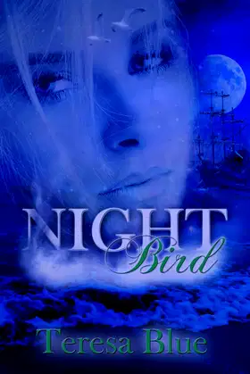 Night Bird poster