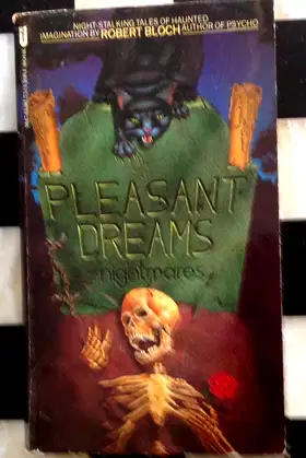 Pleasant Dreams poster