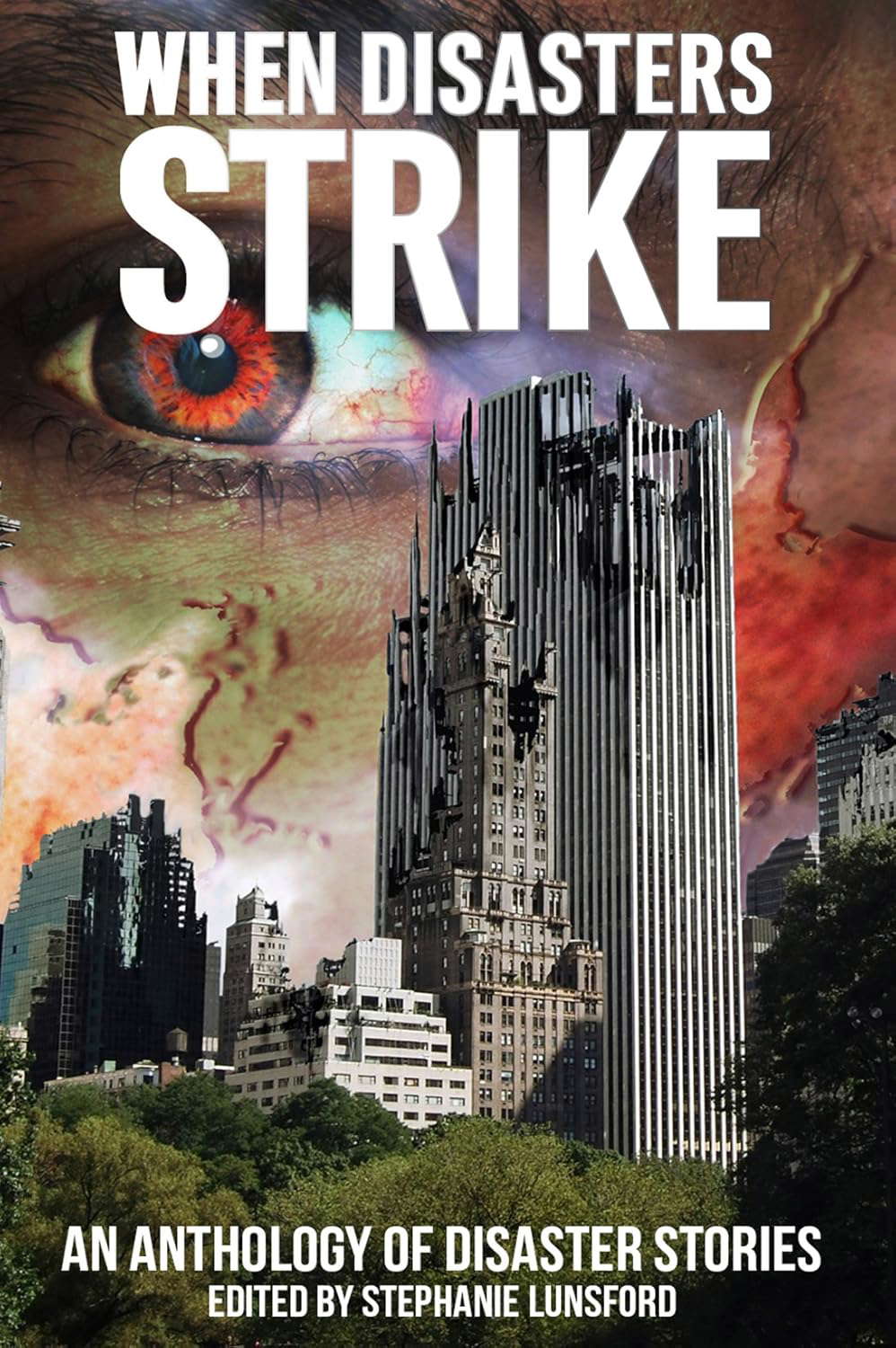 When Disasters Strike: An Anthology of Disaster Stories poster
