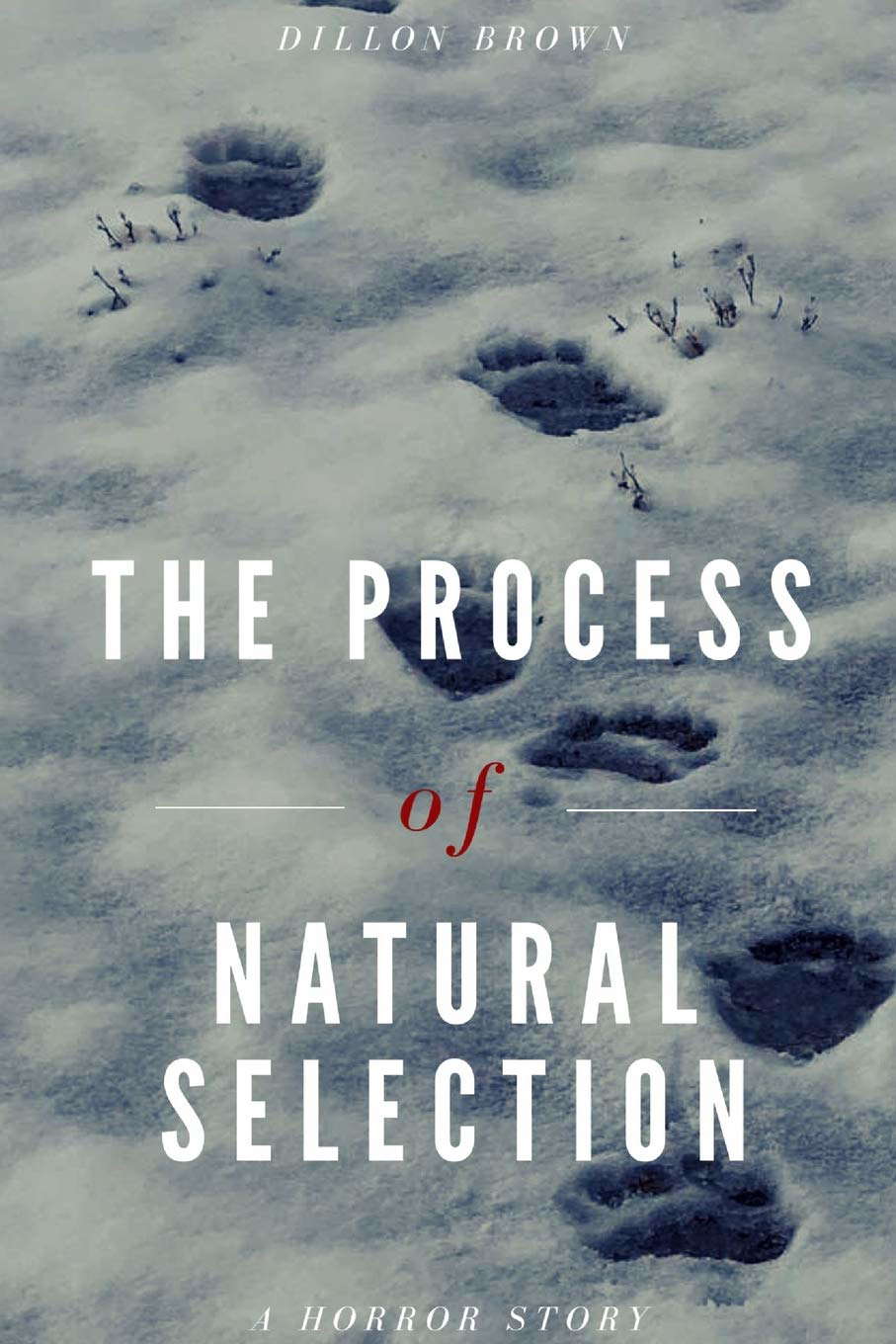 The Process of Natural Selection poster