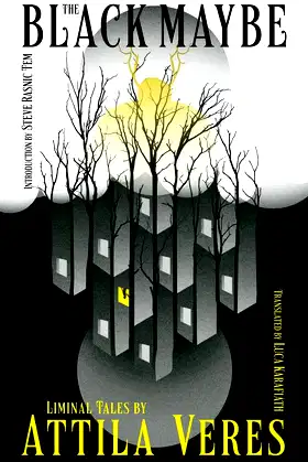 The Black Maybe: Liminal Tales poster