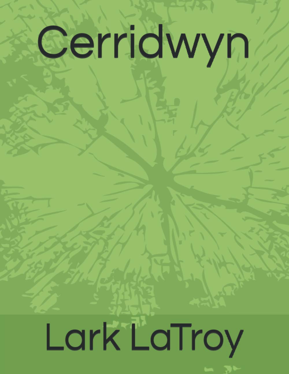Cerridwyn poster