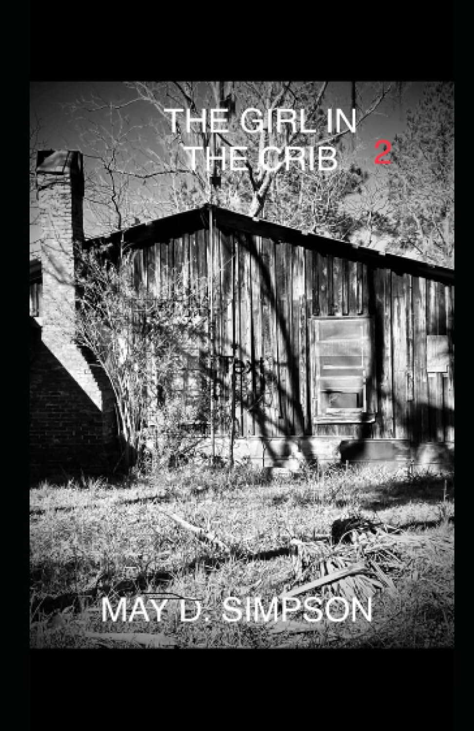 The Girl In The Crib 2: Paranormal Awakenings poster
