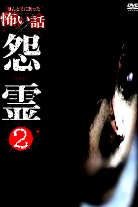 Scary True Stories: Grudge 2 poster