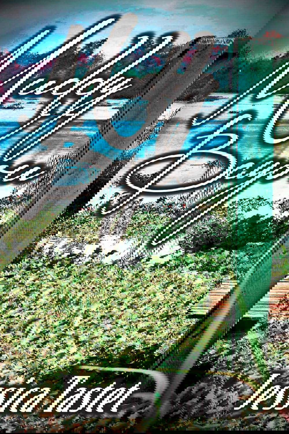 Muddy Bayou poster