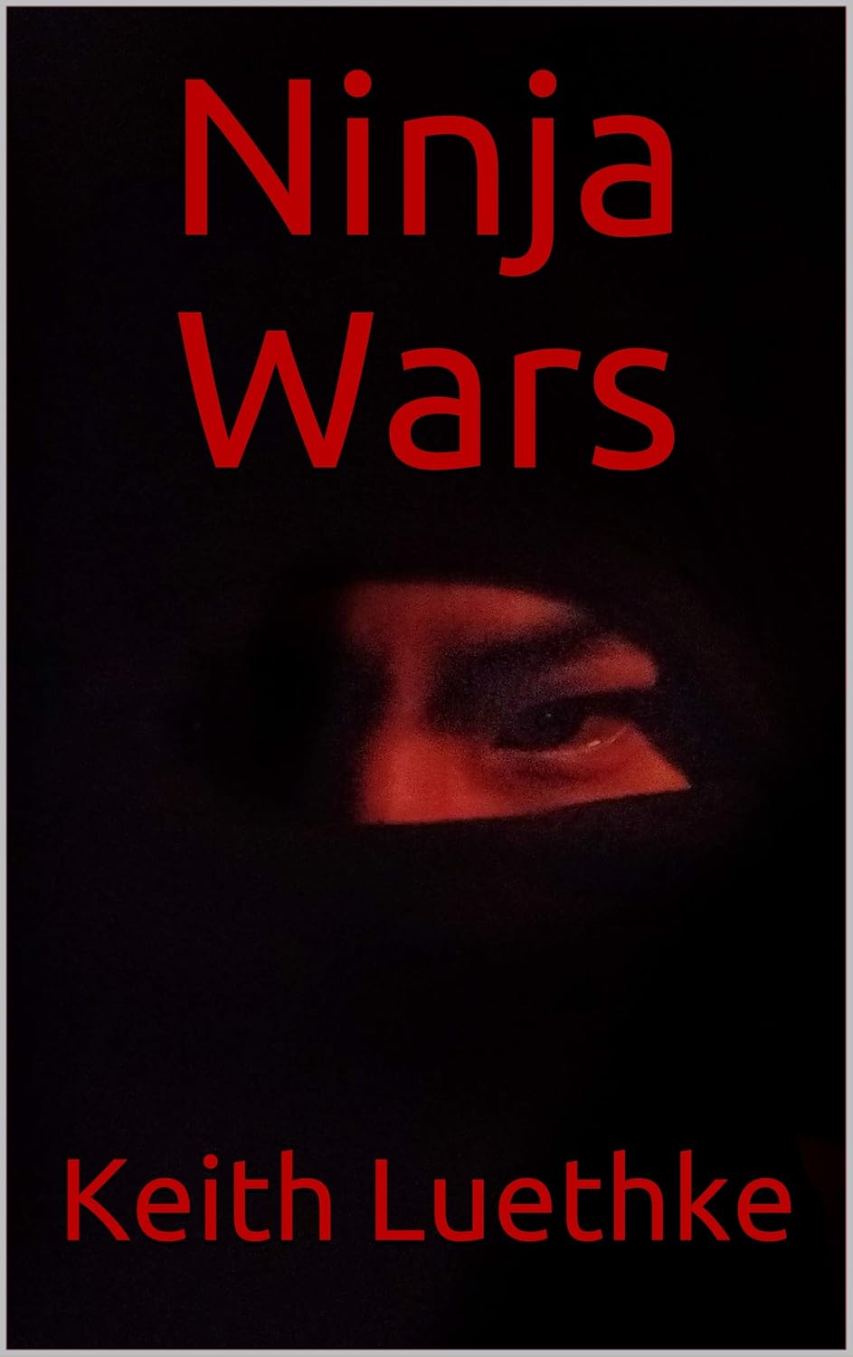 Ninja Wars poster