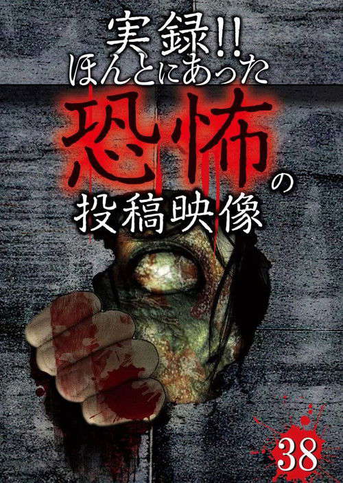 Actual Record! Real Horror Posted Video 38 poster