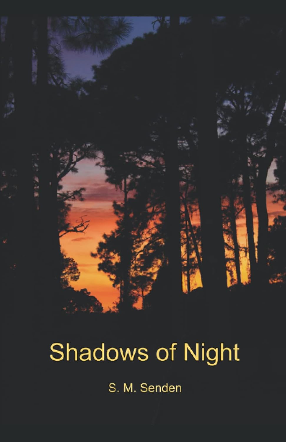 Shadow of Night poster