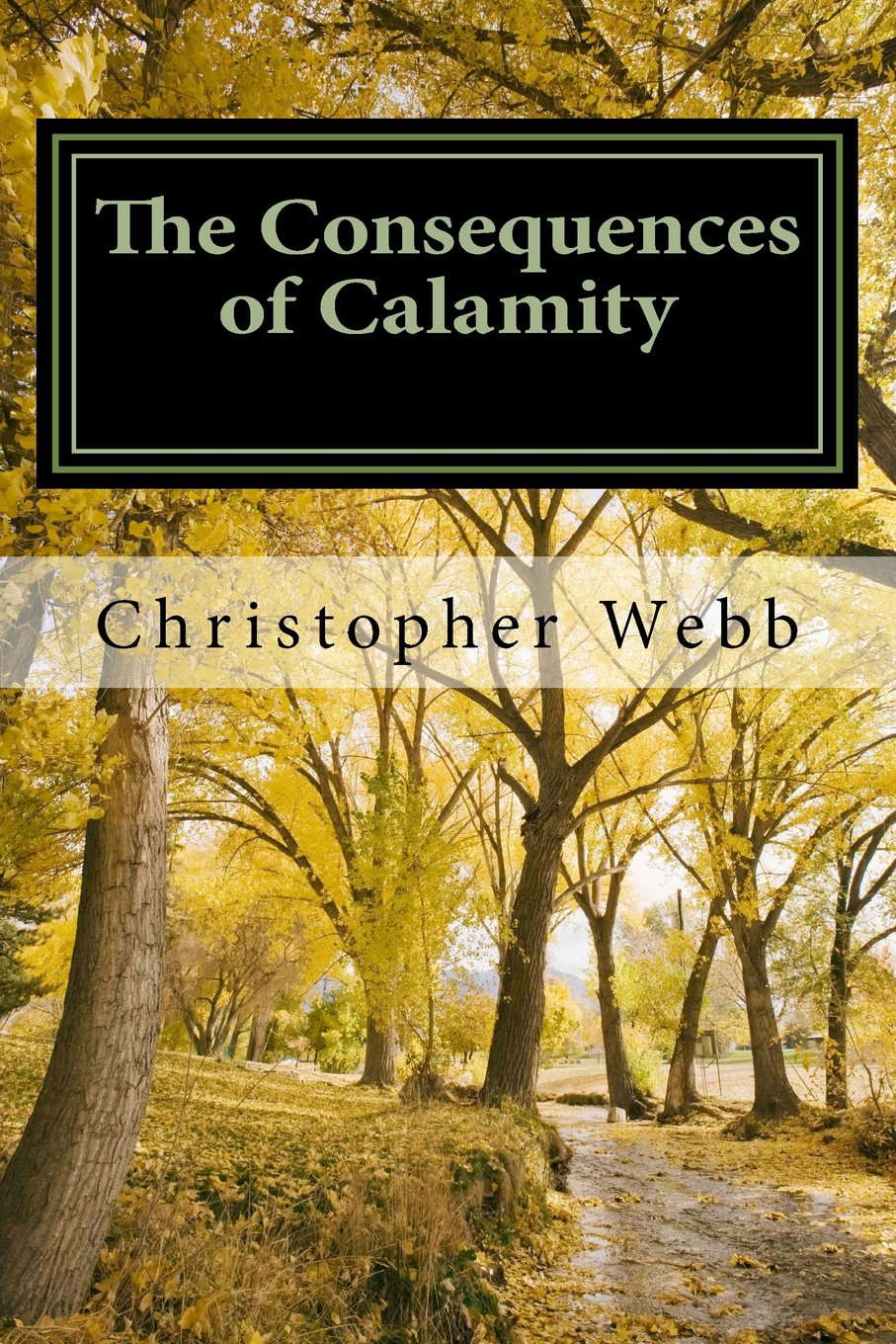 The Consequences of Calamity: Consequence One: Denial poster