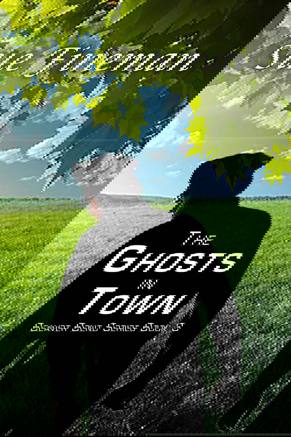 The Ghosts in Town (Beaver Bend Series Book 3) poster