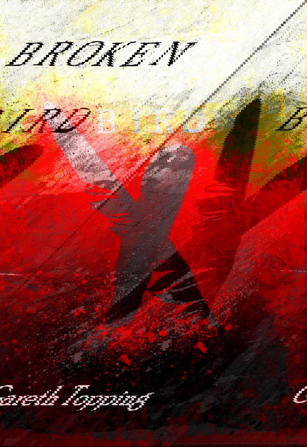 Broken Bird poster