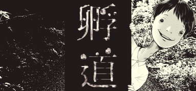 孵道 capsule
