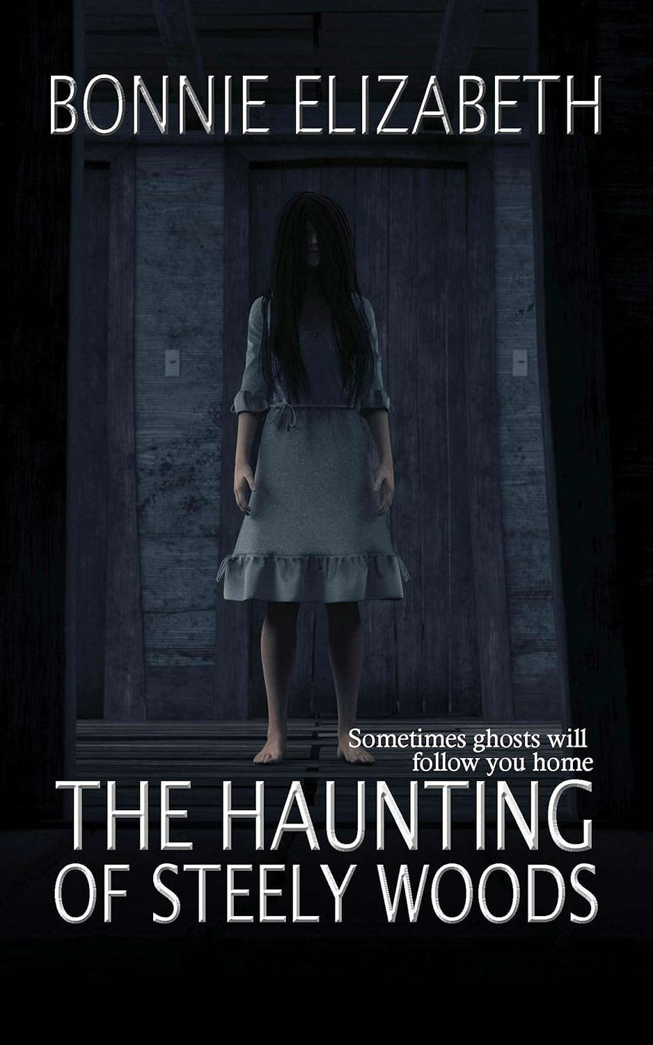 The Haunting of Steely Woods poster