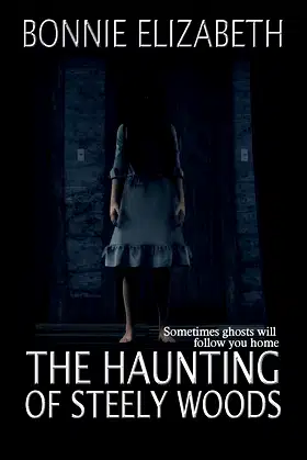 The Haunting of Steely Woods poster