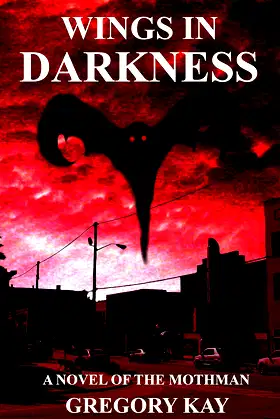 Wings In Darkness poster