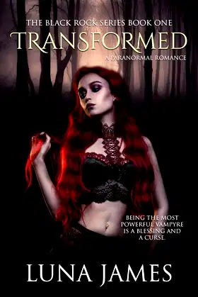 Transformed (The Black Rock Series Book 1) poster