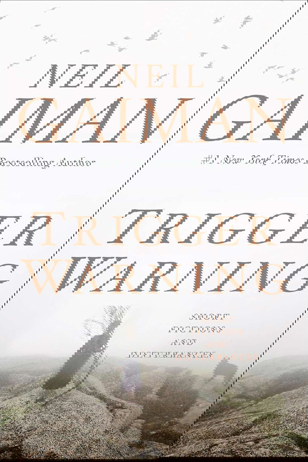 Trigger Warning: Short Fictions and Disturbances poster