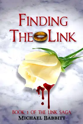 Finding the Link: Book 1 of the Link Saga poster