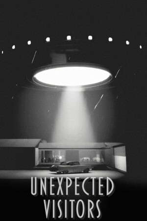 Unexpected Visitors poster