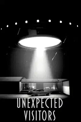 Unexpected Visitors poster