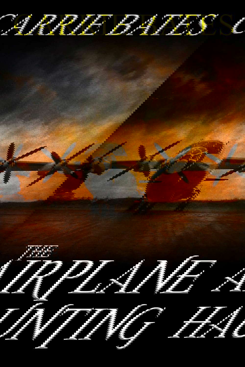 The Airplane Haunting poster