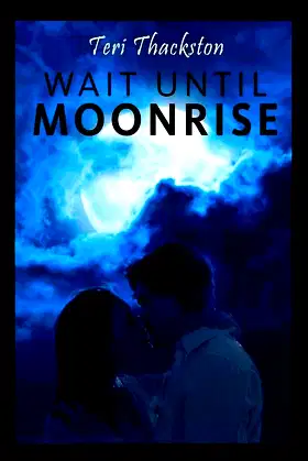 Wait Until Moonrise poster