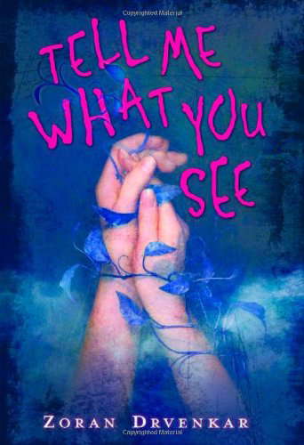 Tell Me What You See poster