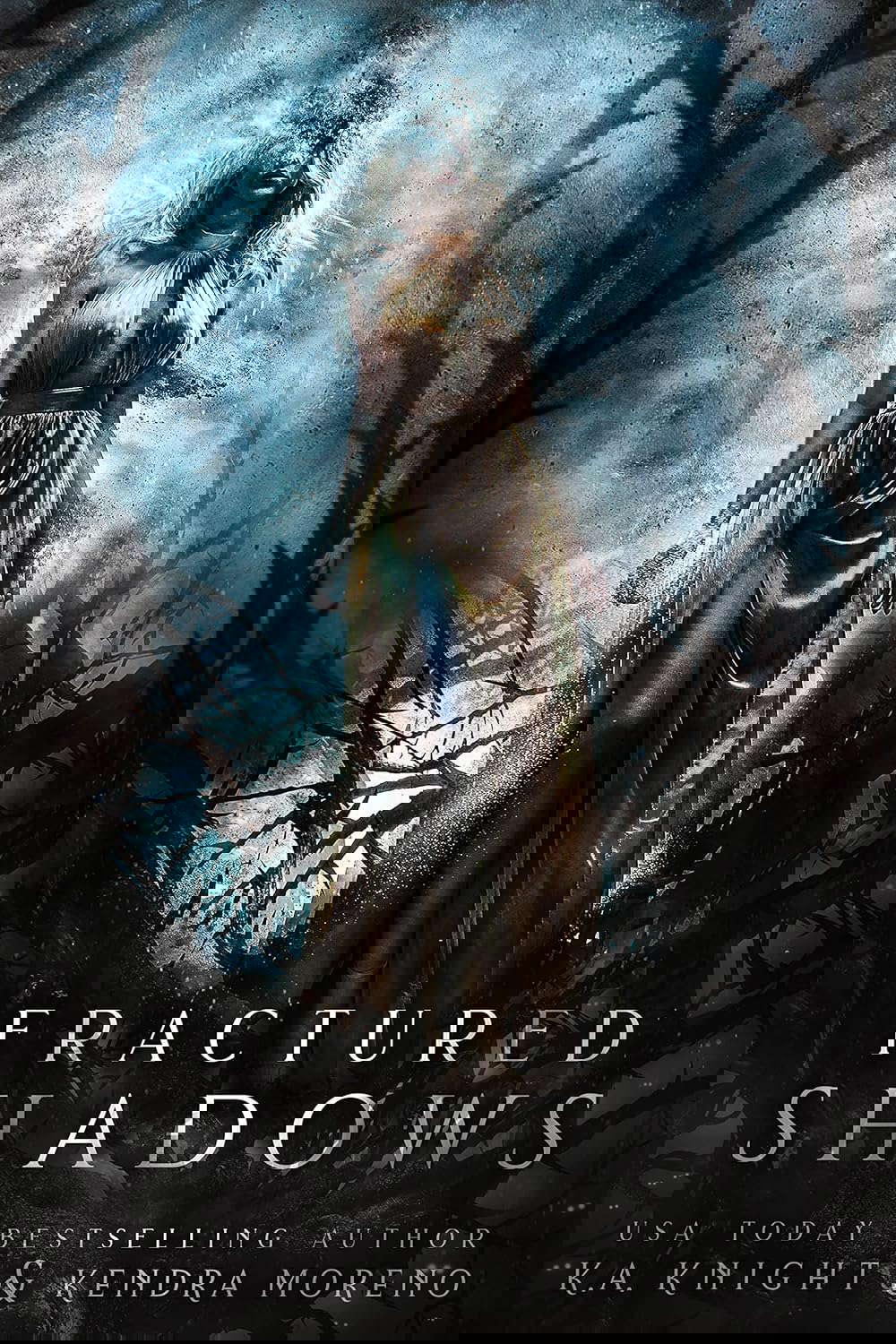 Fractured Shadows (Shadowed Kingdom) poster