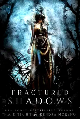 Fractured Shadows (Shadowed Kingdom) poster