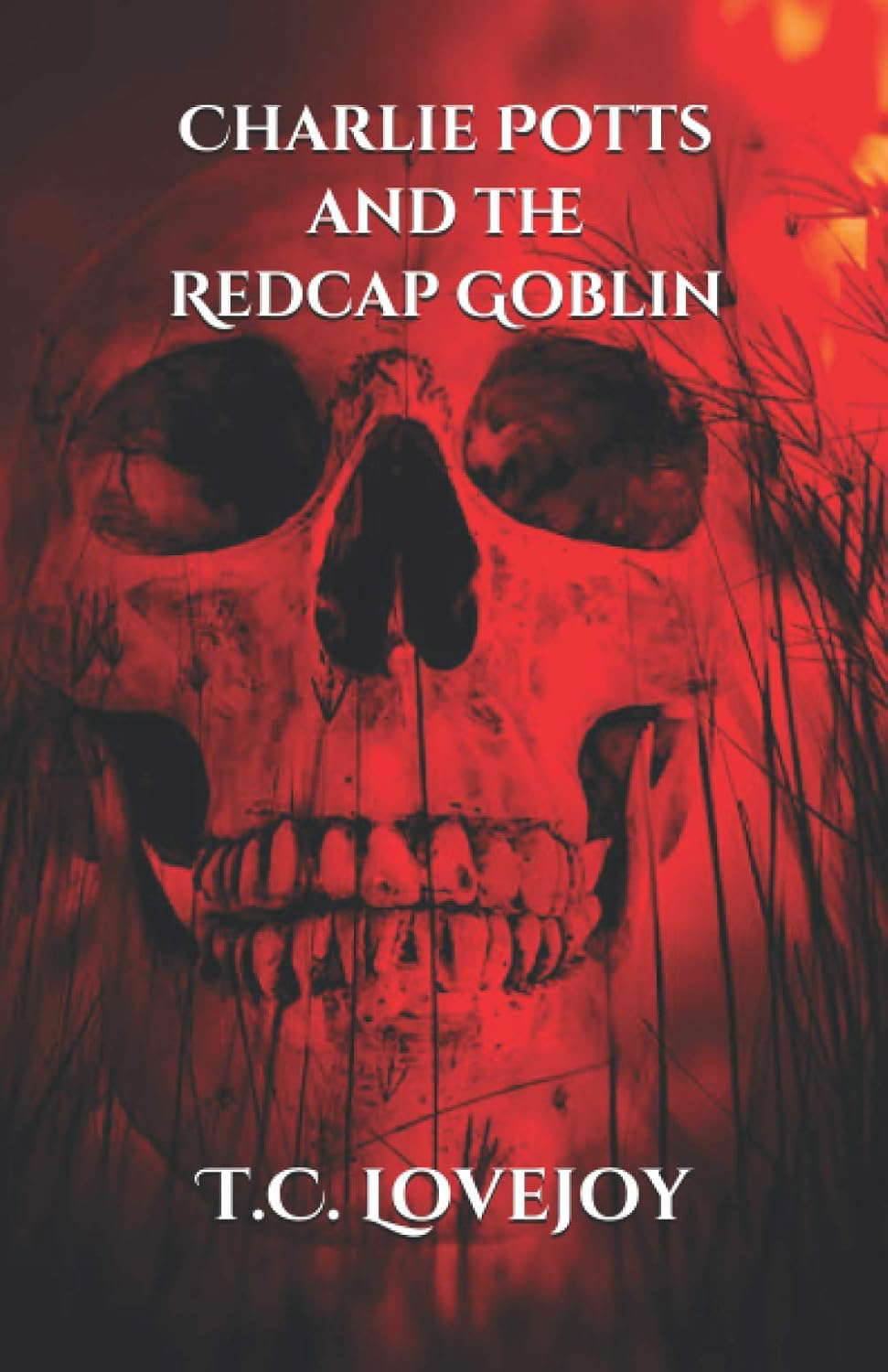 Charlie Potts and the Redcap Goblin (Knight's of the 13th Dimension) poster
