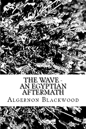 The Wave - An Egyptian Aftermath poster