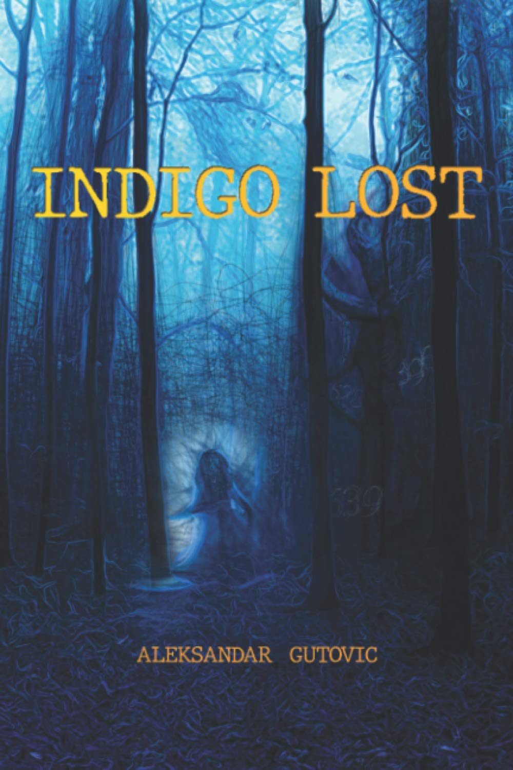 INDIGO LOST poster